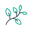 Inhaltsstoffe / Botanicals