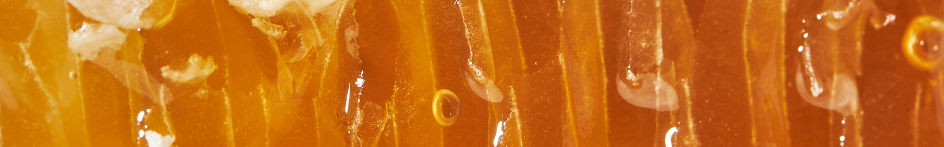 Bienenwachs