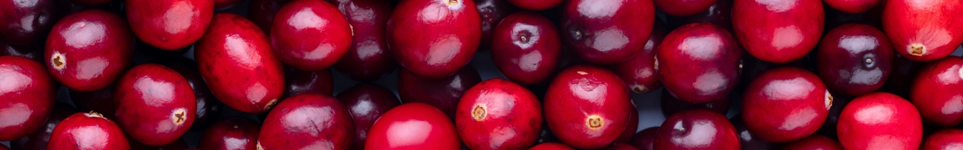 Cranberry (Vaccinium macrocarpon)