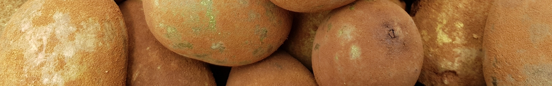 Cupuaçu (Theobroma grandiflorum) Butter